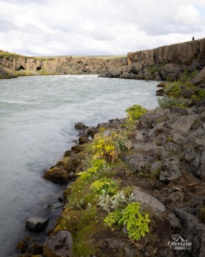 Skjálfandafljót river Skjálfandafljót river