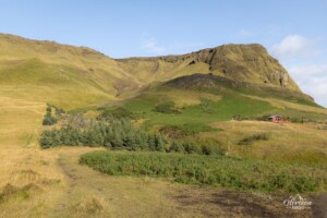 Path from the start Path from the start