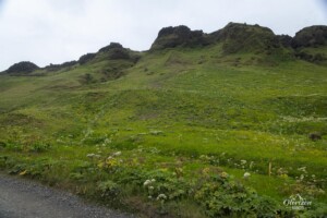 Piste au départ Piste au départ