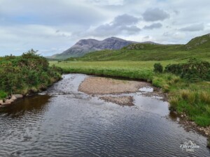 Arkle from the start Arkle from the start