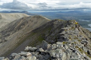 Ridge path to Arkle summit Ridge path to Arkle summit