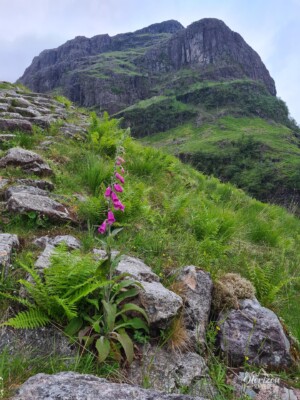 Aonach Dubh Aonach Dubh