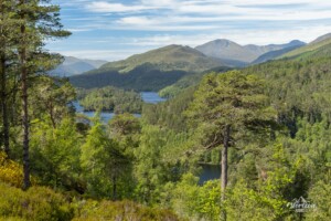 Glen Affric Glen Affric