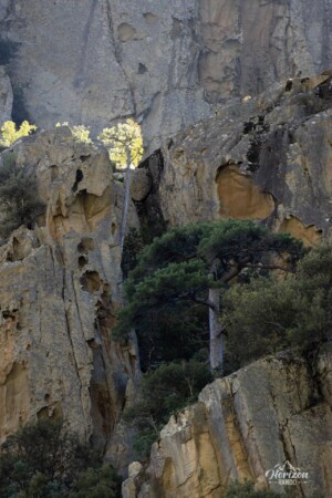 Falaises granitiques Falaises granitiques
