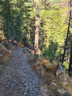 Corte Restonica communal forest Corte Restonica communal forest