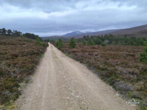 Long, monotonous trail to start with Long, monotonous trail to start with