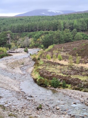 View of the Quoich River View of the Quoich River