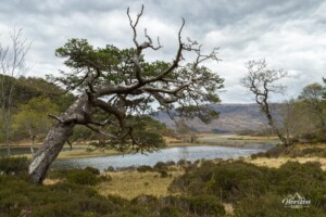 Loch Coulin Loch Coulin