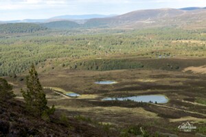 Typical Cairngorms landscape Typical Cairngorms landscape