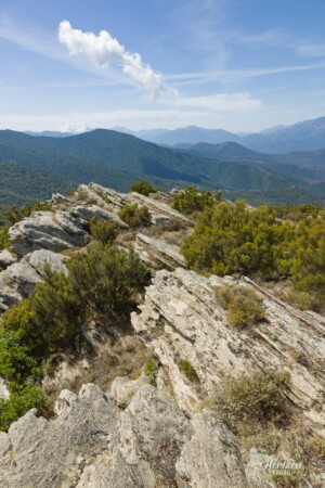 Monte Castellare