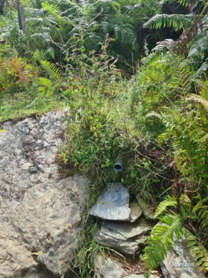 Source de l'Albaretu (souvent à sec en fin d'été) Source de l'Albaretu (souvent à sec en fin d'été)