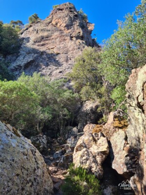 Very wild trail throughout Very wild trail throughout