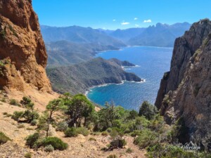 Gulf of Porto Gulf of Porto