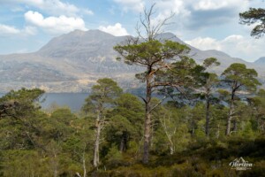 Loch Maree et Slioch Loch Maree et Slioch