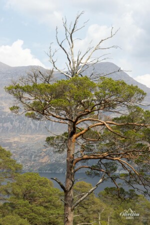 Loch Maree and Slioch Loch Maree and Slioch