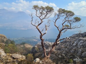 Loch Maree Loch Maree