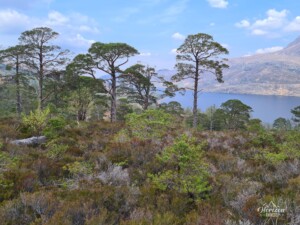 Loch Maree Loch Maree