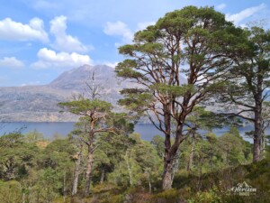 Loch Maree et Slioch Loch Maree et Slioch