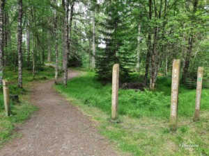 Perfectly signposted route Perfectly signposted route