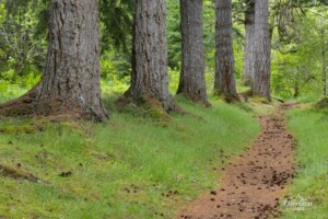 Tweedmouth Trail Tweedmouth Trail