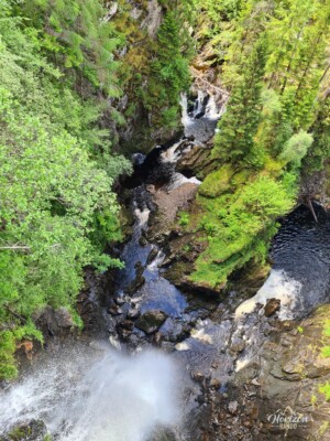 Plodda Falls from the platform Plodda Falls