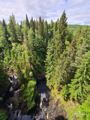 Plodda Falls Plodda Falls
