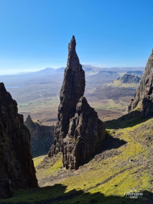 The needle The needle