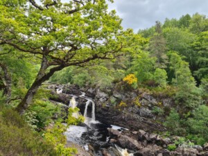 Rogie Falls Rogie Falls
