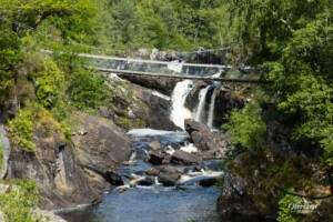 Suspension bridge over Rogie Falls Suspension bridge over Rogie Falls