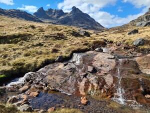 The cobbler The cobbler