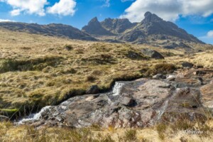 The cobbler The cobbler
