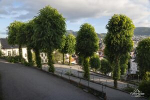 Début de l'ascension ! Début de l'ascension !