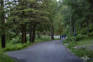 Wide trail towards Fløyen Wide trail towards Fløyen