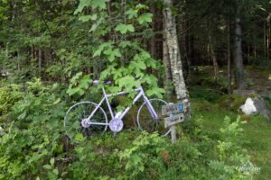 Départ du sentier en forêt Départ du sentier