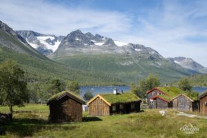 Farm and café at Renndølsetra Farm and café at Renndølsetra