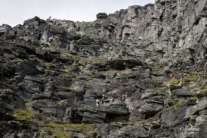 Slabs and rocks to climb during the final ascent Slabs and rocks to climb during the final ascent