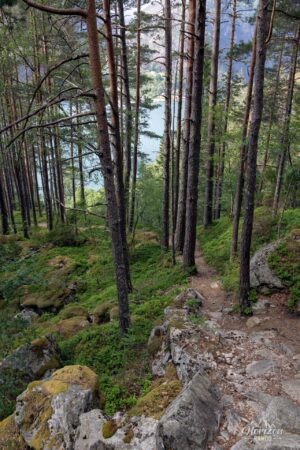 Très agréable sentier en forêt Très agréable sentier en forêt