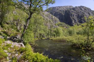 La paisible rivière au sommet La paisible rivière au sommet