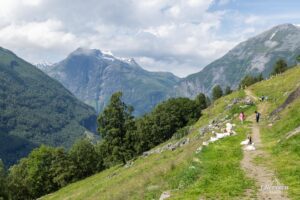 Sentier en direction de Løsta Sentier en direction de Løsta