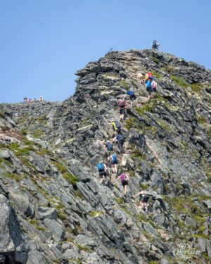 Section légèrement aérienne équipée de cables Section légèrement aérienne équipée de cables