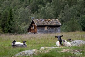 Klovset mountain pastures Klovset mountain pastures