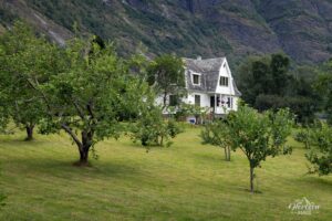 Small orchard Small orchard