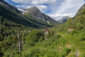 Premières vues, à la sortie de la forêt Premières vues, à la sortie de la forêt
