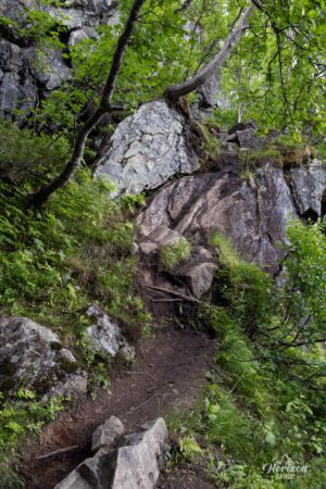 Steep and technical sections Steep and technical sections