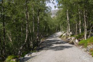 Start of the hike on a forest trail Start of the hike on a forest trail
