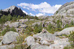 Rockier and well-marked trail Rockier and well-marked trail