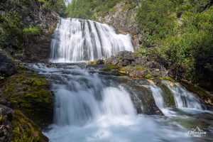Torrent Fanes Torrent Fanes